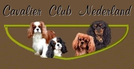 banner cavalier club nederland